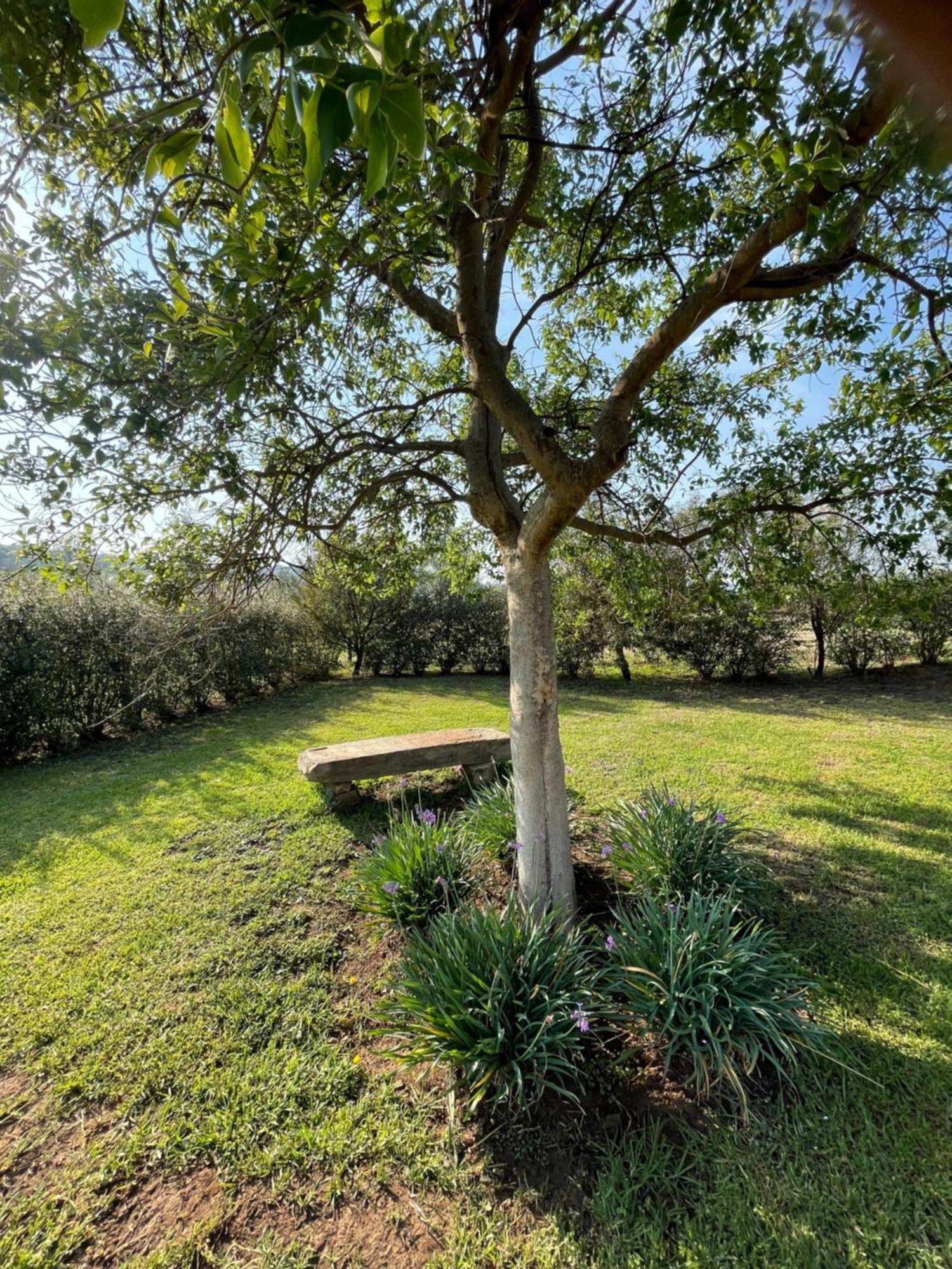 Tugela River Lodge Winterton Eksteriør billede